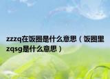 zzzq在饭圈是什么意思（饭圈里zqsg是什么意思）