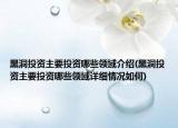 黑洞投资主要投资哪些领域介绍(黑洞投资主要投资哪些领域详细情况如何)