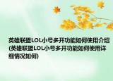 英雄联盟LOL小号多开功能如何使用介绍(英雄联盟LOL小号多开功能如何使用详细情况如何)