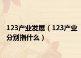 123产业发展（123产业分别指什么）