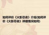 如何评价《火影忍者》介绍(如何评价《火影忍者》详细情况如何)