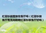 红豆杉能摆放在客厅吗（红豆杉放客厅有无问题呢红豆杉放客厅好吗）