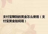 支付宝赚到的赏金怎么使用（支付宝赏金如何用）