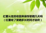 红薯从地里收回来保存要晒几天吗（红薯收了要晒多长时间才能吃）