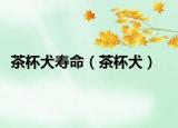 茶杯犬寿命（茶杯犬）