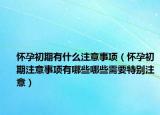 怀孕初期有什么注意事项（怀孕初期注意事项有哪些哪些需要特别注意）