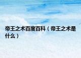 帝王之术百度百科（帝王之术是什么）