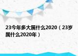 23今年多大属什么2020（23岁属什么2020年）