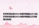 世界杯预选赛2021中国对韩国比分介绍(世界杯预选赛2021中国对韩国比分详细情况如何)