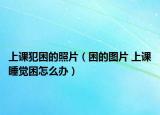 上课犯困的照片（困的图片 上课睡觉困怎么办）