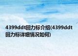 4399ddt回力标介绍(4399ddt回力标详细情况如何)