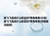 新飞飞我选什么职业好?急急急急!介绍(新飞飞我选什么职业好?急急急急!详细情况如何)