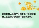 冒险岛食人花的种子哪里爆介绍(冒险岛食人花的种子哪里爆详细情况如何)