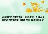 龙头社区的卡密在哪买(《非凡卡盟》介绍 龙头社区的卡密在哪买 《非凡卡盟》详细情况如何)