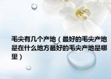 毛尖有几个产地（最好的毛尖产地是在什么地方最好的毛尖产地是哪里）