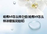 哈弗h9怎么样介绍(哈弗h9怎么样详细情况如何)