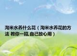 淘米水养什么花（淘米水养花的方法 教你一招,自己放心用）
