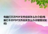 电脑打不开PDF文件应该怎么办介绍(电脑打不开PDF文件应该怎么办详细情况如何)