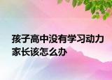 孩子高中没有学习动力家长该怎么办
