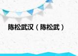陈松武汉（陈松武）