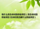 有什么适合农村的创业项目（适合农村的创业项目 在农村适合做什么创业项目）