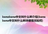 banabana中文叫什么啊介绍(banabana中文叫什么啊详细情况如何)