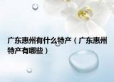 广东惠州有什么特产（广东惠州特产有哪些）