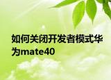 如何关闭开发者模式华为mate40