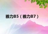雅力B5（雅力B7）