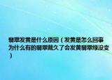 翡翠发黄是什么原因（发黄是怎么回事 为什么有的翡翠戴久了会发黄翡翠绿没变）