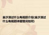 金沙演过什么电视剧介绍(金沙演过什么电视剧详细情况如何)