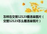怎样在交管12123看违章图片（交管12123怎么看违章照片）
