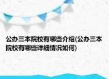 公办三本院校有哪些介绍(公办三本院校有哪些详细情况如何)