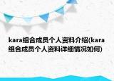 kara组合成员个人资料介绍(kara组合成员个人资料详细情况如何)