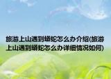 旅游上山遇到蟒蛇怎么办介绍(旅游上山遇到蟒蛇怎么办详细情况如何)
