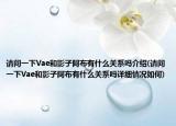请问一下Vae和影子阿布有什么关系吗介绍(请问一下Vae和影子阿布有什么关系吗详细情况如何)