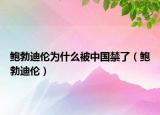 鲍勃迪伦为什么被中国禁了（鲍勃迪伦）