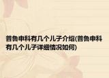 普鲁申科有几个儿子介绍(普鲁申科有几个儿子详细情况如何)