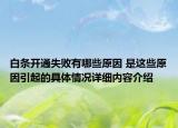 白条开通失败有哪些原因 是这些原因引起的具体情况详细内容介绍