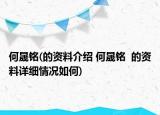 何晟铭(的资料介绍 何晟铭  的资料详细情况如何)