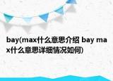 bay(max什么意思介绍 bay max什么意思详细情况如何)