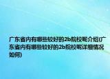 广东省内有哪些较好的2b院校呢介绍(广东省内有哪些较好的2b院校呢详细情况如何)
