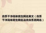 森系干净简单男生网名英文（森系干净简单男生网名温柔森系男网名）