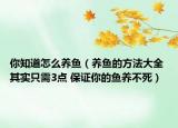 你知道怎么养鱼（养鱼的方法大全 其实只需3点 保证你的鱼养不死）