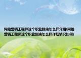 网络营销工程师这个职业到底怎么样介绍(网络营销工程师这个职业到底怎么样详细情况如何)