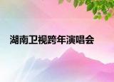 湖南卫视跨年演唱会