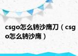 csgo怎么转沙鹰刀（csgo怎么转沙鹰）
