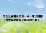 怎么让头发长得快一点一年长到腰（想要长发快快及腰该怎么办）