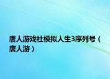 唐人游戏社模拟人生3序列号（唐人游）