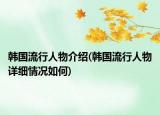 韩国流行人物介绍(韩国流行人物详细情况如何)
